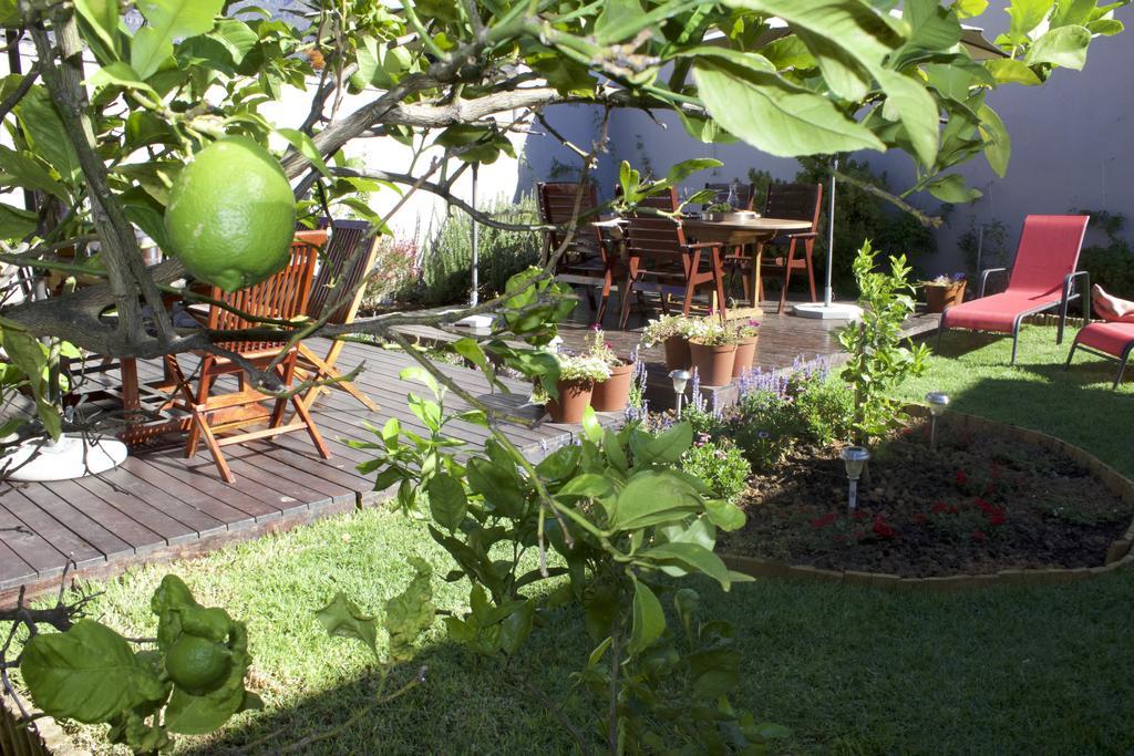 The Lions Guest House Кейптаун Екстериор снимка